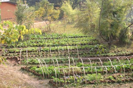Garden_TMPL_005
