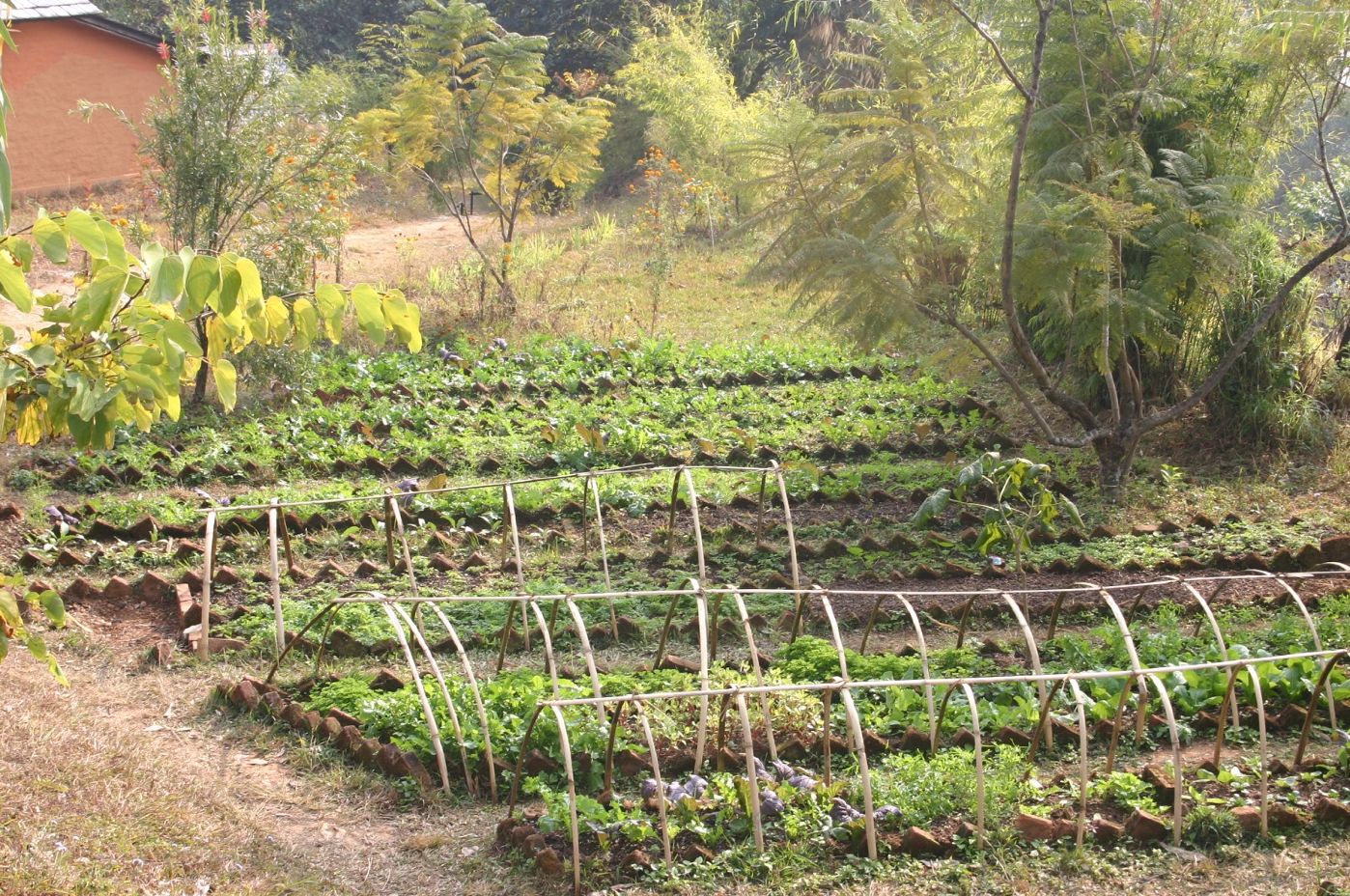 Garden_TMPL_005